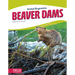 Beaver Dams