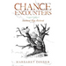 Chance Encounters: Shattered Hope Restored