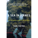 A Sea in Flames: The Deepwater Horizon Oil Blowout