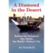 A Diamond in the Desert: Behind the Scenes in Abu Dhabi, the World's Richest City