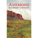Anemone in a Desert Landscape