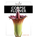 Corpse Flower