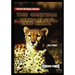 The Cheetah: World's Fastest Land Animal