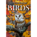 Birds: Picture Books For Adults With Dementia And Alzheimers Patients - Colourful Photos Of Birds With Their Names