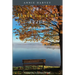 The Little Book of Still: Calm for Busy Lives