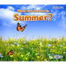What Can You See in Summer?