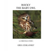 Rocky the Baby Owl
