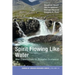 Spirit Flowing Like Water: New Conversations on Receptive Ecumenism