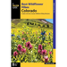 Best Wildflower Hikes Colorado