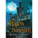 In the Shadow of the Sanctum