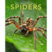 Spiders: Amazing Pictures & Fun Facts on Animals in Nature