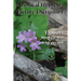 Biblical Hebrew Picture Dictionary