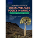 The Political Economy of Social Welfare Policy in Africa: Transforming Policy Through Practice