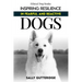 Inspiring Resilience in Fearful and Reactive Dogs