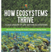 How Ecosystems Thrive: A Discussion of Life Within Ecosystems Life Science Biology 4th Grade Children's Biology Books