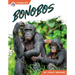 Bonobos