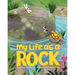 My Life as a Rock