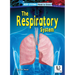 The Respiratory System