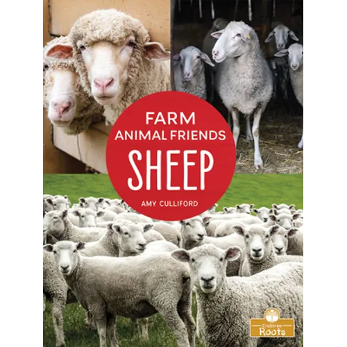 Sheep