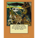 The Sampo; a wonder tale of the old north. By: James Baldwin. illustrated By: N.C. Wyeth