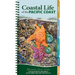 Coastal Life of the Pacific Coast: Discover Tidepools and Identify Beachcombing Finds and Iconic Wildlife