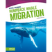 Humpback Whale Migration
