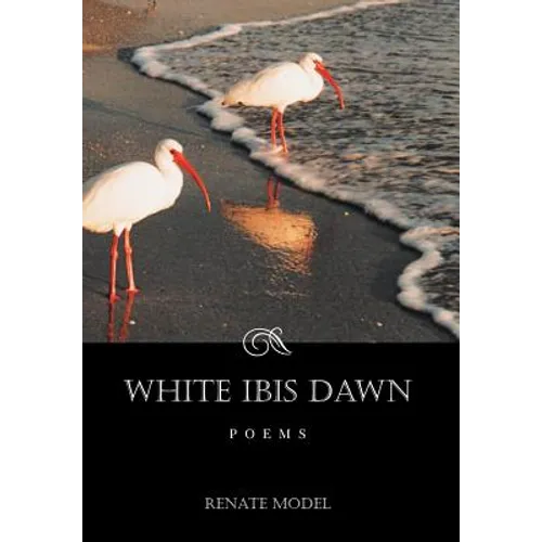 White Ibis Dawn