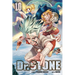 Dr. Stone, Vol. 10