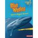 Blue Whales: Nature's Biggest Mammal