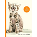 For the Love of Cats: 25 Postcards