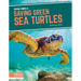 Saving Green Sea Turtles