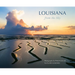 Louisiana from the Sky