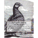 Fulton's Book of Pigeons: Pigeon Classics Book 5