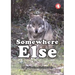 Somewhere Else