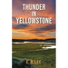 Thunder in Yellowstone: A contemporary literary novel