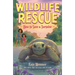 How to Save a Tortoise