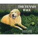 The Tennis Ball