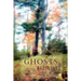 Ghosts in the Heart