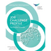 Job Challenge Profile: Facilitator's Guide