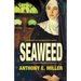 Seaweed