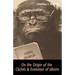 On the Origin of the Clichés and Evolution of Idioms