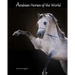Arabian Horses Of The World