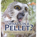 What's in a Pellet? Owl Digestive System and Dissecting Owl Pellets Grade 6-8 Life Science