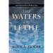 New Found Souls Book One: The Waters of Lethe