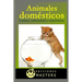 Animales Domésticos: Cuidados, Enfermedades Y Características