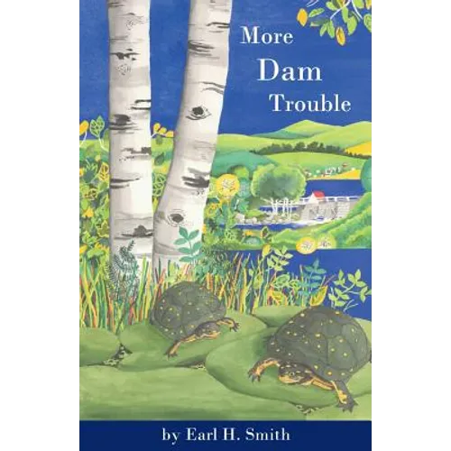 More Dam Trouble