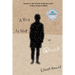 A Boy Is Not a Ghost