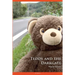 Teddy and the Darkgate