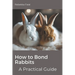 How to Bond Rabbits: A Practical Guide