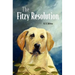The Fitzy Resolution
